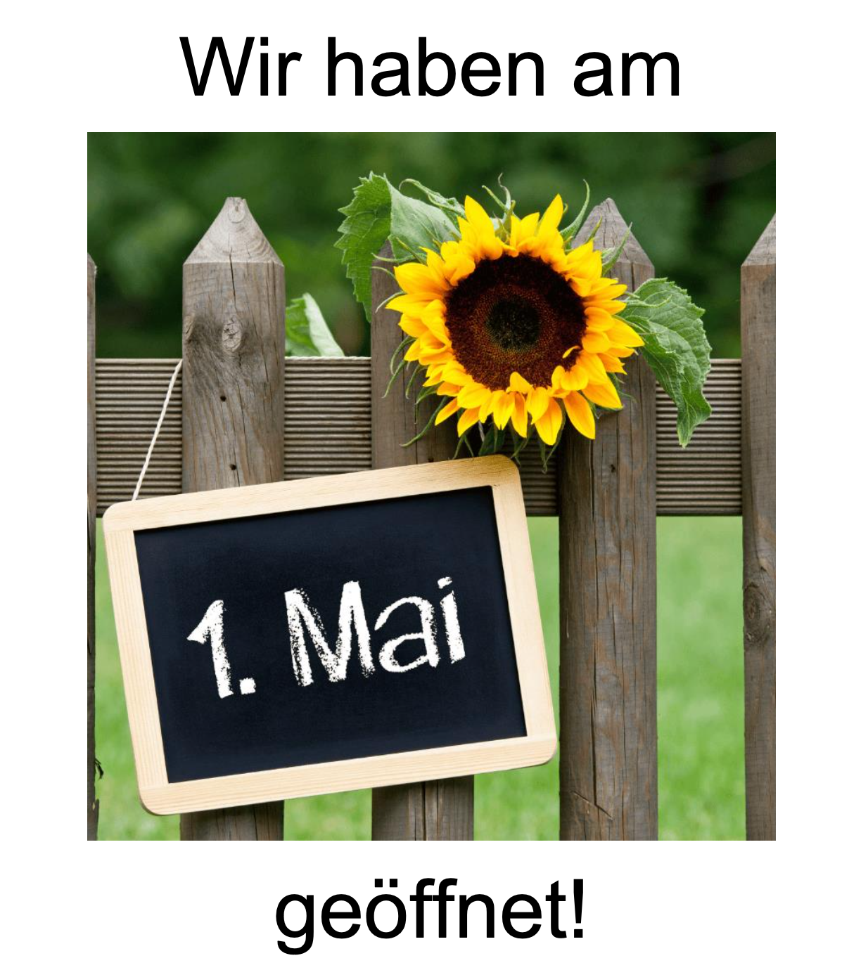 bildschirmfoto-2025-04-29-um-17-56-07