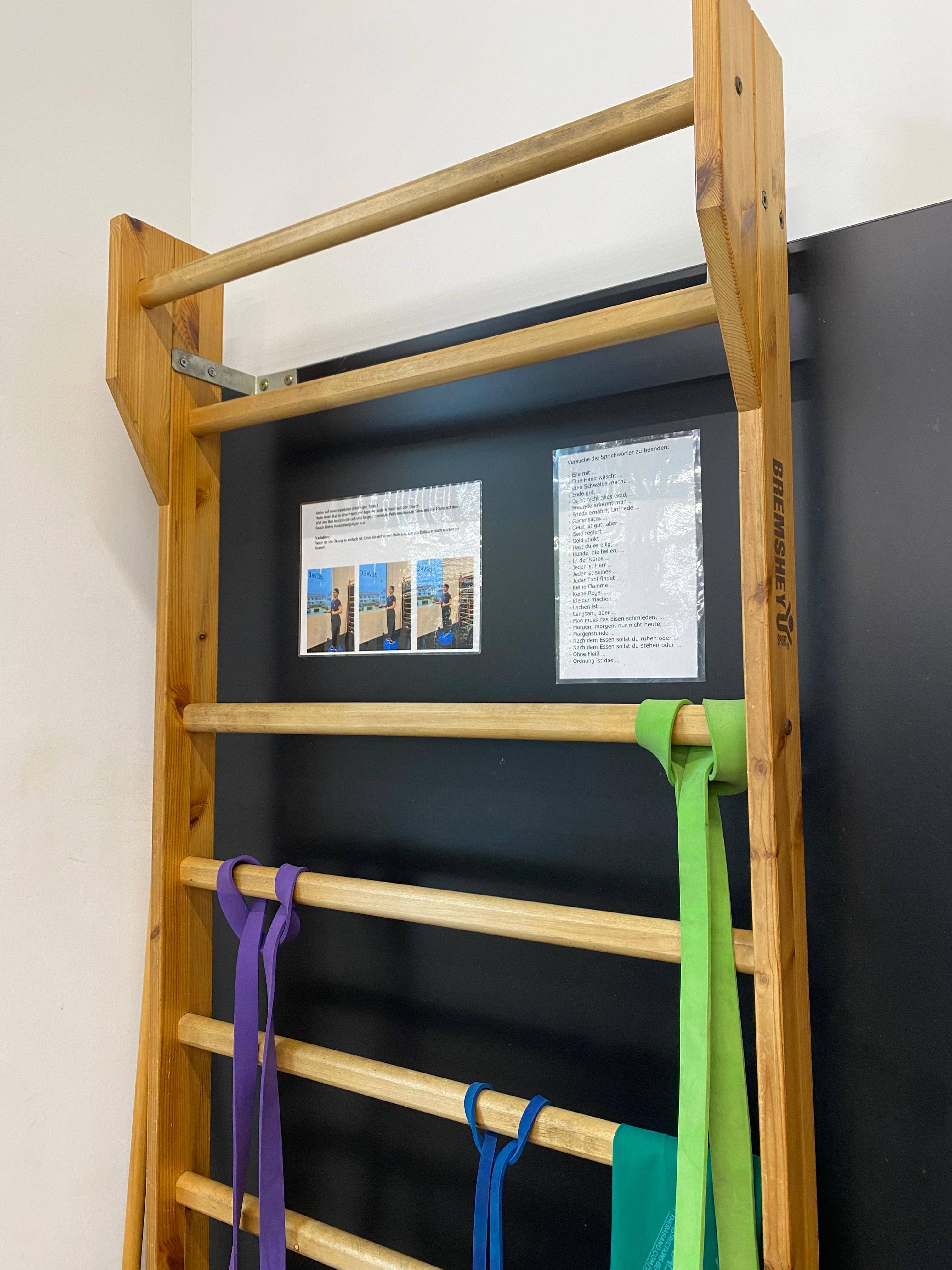 Propriozeptives Training