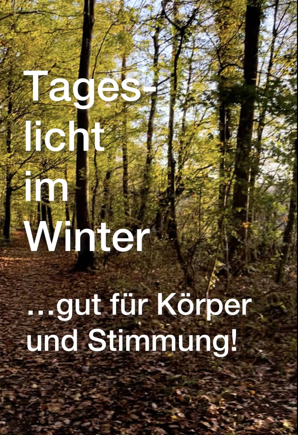 Tageslicht im Winter – gut für Körper und Stimmung!